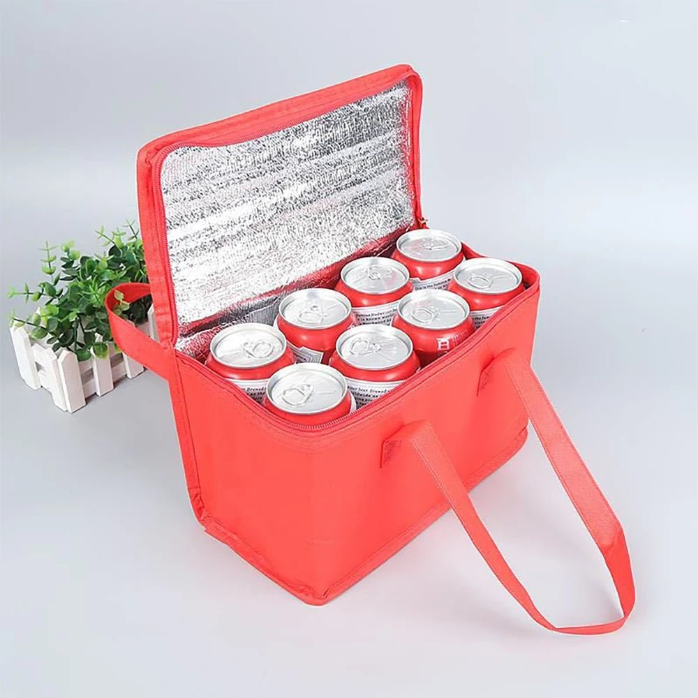 Nobl Travel Insulated Cooler Bag with Aluminum Foil Lining for Picnics and Travel