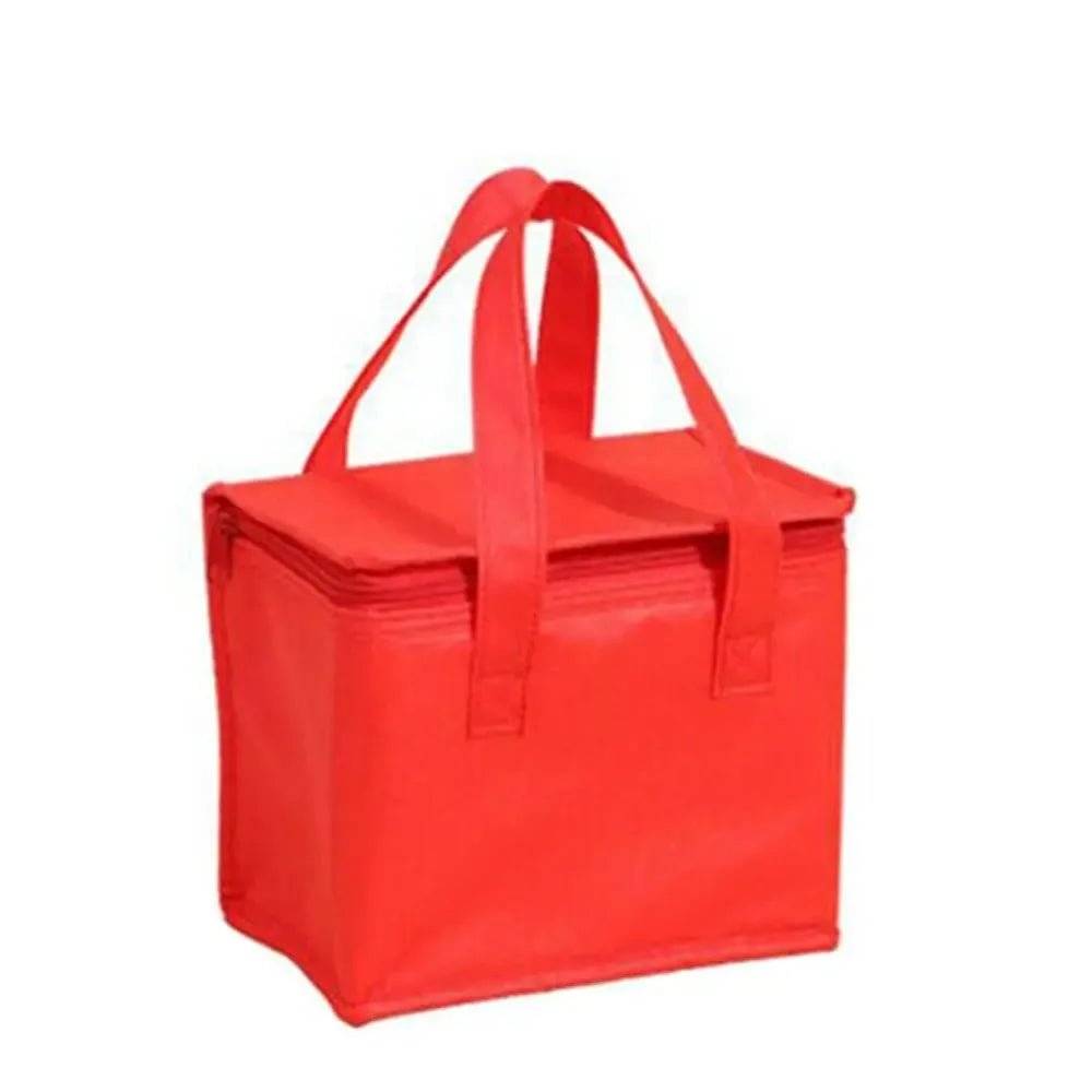 Nobl Travel Insulated Cooler Bag with Aluminum Foil Lining for Picnics and Travel
