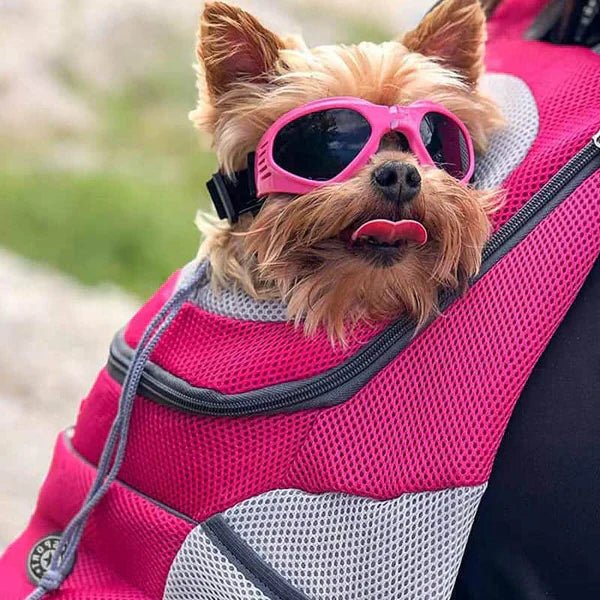 Nobl Travel Petroam Pet Carrier Backpack with Ventilation and Adjustable Straps